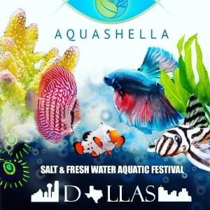 Aquashella - Dallas @ Fair Park Grounds