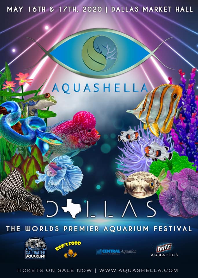 Aquashella – Dallas 2020 – DFWMAS