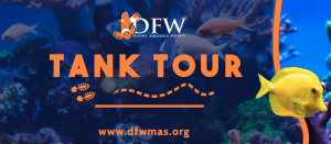 (CANCELED) DFWMAS Tank Tour 2019