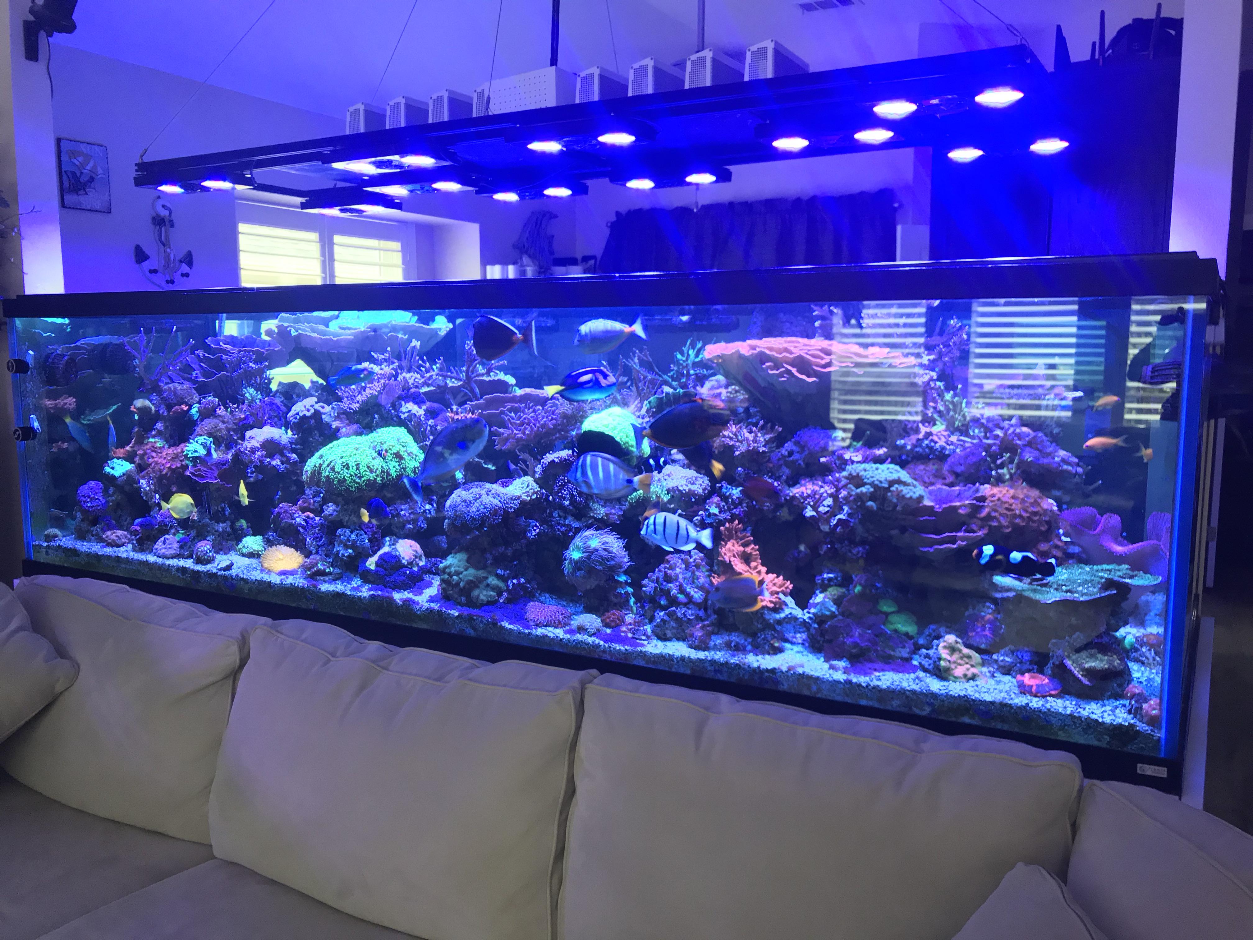 Glass Acrylic Aquariums: In Depth Comparison And Tips, 47% OFF