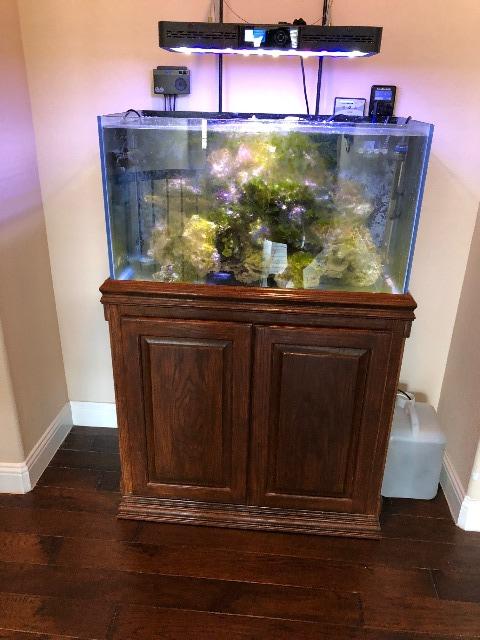 Rimless 55 (36 x 18 x 20) Gallon Tank & Stand – $500 – Dry Goods For ...